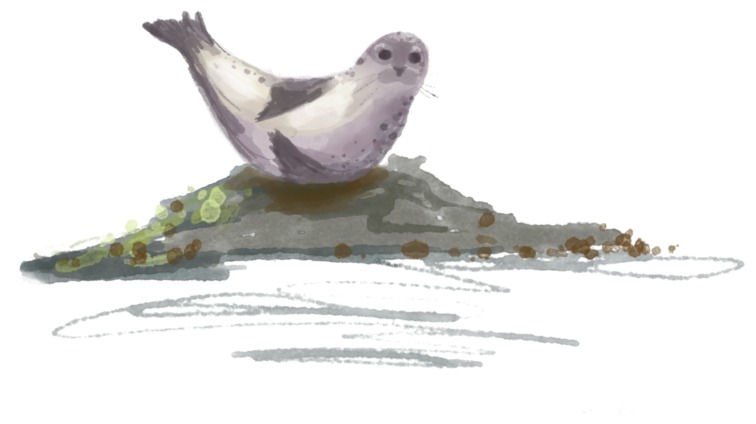 Watercolor seal representing Molly